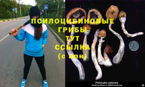 кокаин колумбия Алексин