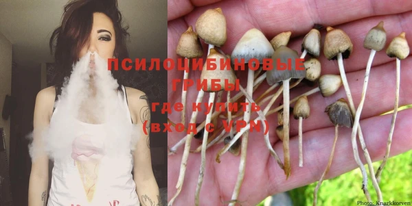 эйфоретик Саяногорск