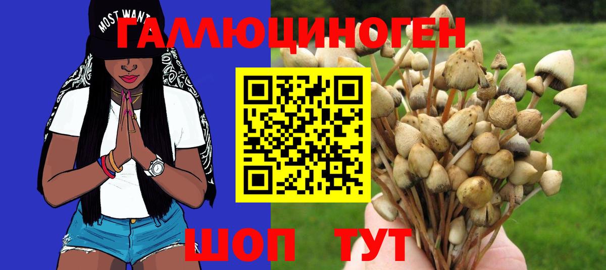 Псилоцибиновые грибы прущие грибы  Лесосибирск  Галлюциногенные грибы GOLDEN TEACHER 