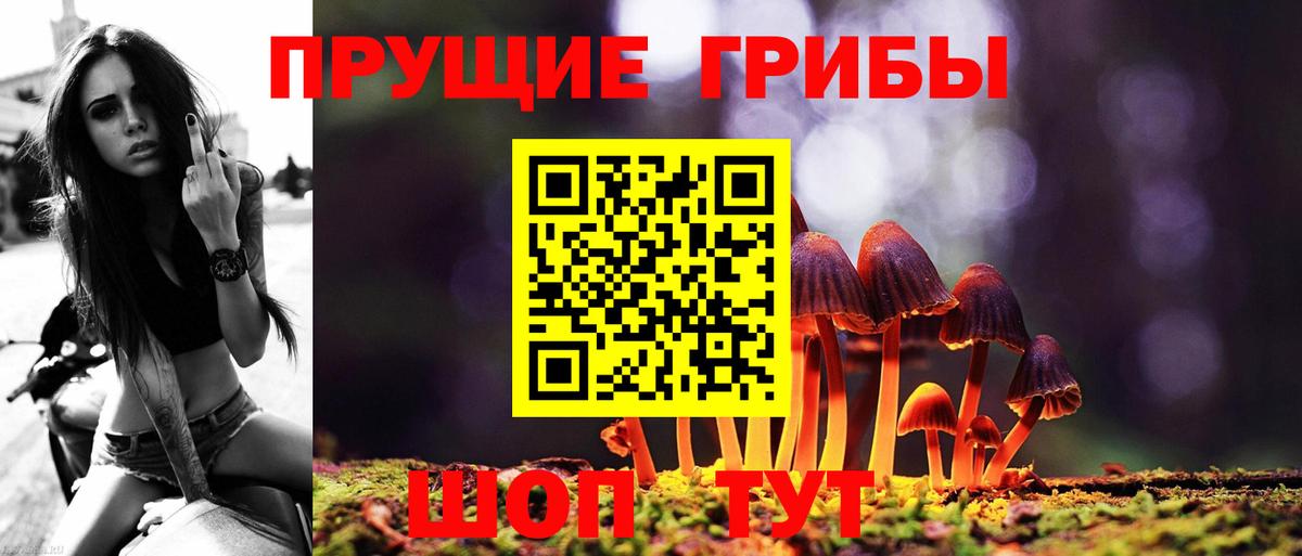 Галлюциногенные грибы GOLDEN TEACHER Лесосибирск